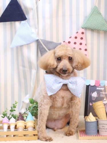 20250504ケンくん